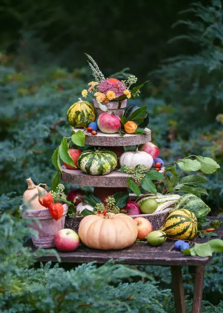 Beautiful autumn garden decoration with colorful squash, pumpkins, apples, plums, nuts and flowers on the wooden etagere. Gardening or harvesting concept.
