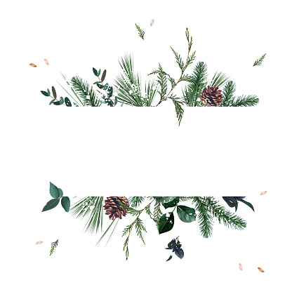 Emerald christmas greenery, spruce, fir, pine cones seasonal vector design frame. Woodland simple style. Winter chic wedding or new year party invitation card. Watercolor style. Isolated and editable