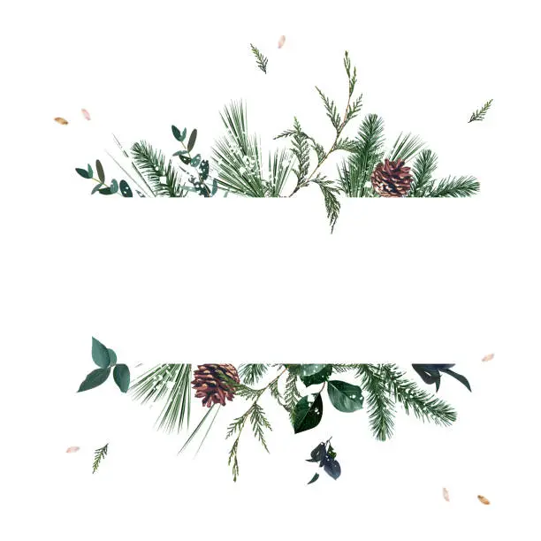 Vector illustration of Emerald christmas greenery, spruce, fir, pine cones seasonal vector design frame.