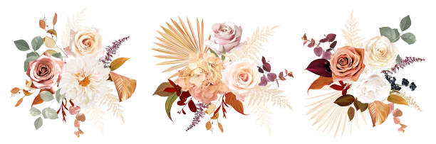 illustrazioni stock, clip art, cartoni animati e icone di tendenza di arancio ruggine, beige, rosa bianca, fiore di anthurium bordeaux, erba della pampa, felce, foglie di palma essiccate bouquet vettoriali - composizione di fiori