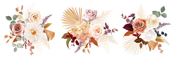 Rust orange, beige, white rose, burgundy anthurium flower, pampas grass, fern, dried palm leaves vector design bouquets Rust orange, beige, white rose, burgundy anthurium flower, pampas grass, fern, dried palm leaves vector design bouquets.Trendy flowers. Gold, brown, rust, taupe. Elements are isolated and editable flower arrangement stock illustrations
