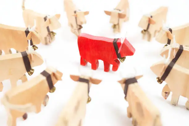 Concept for winning, leadership, standing out or isolated. Handcrafted wooden cow silhouettes with bells. Selective focus in center with defocused cows.