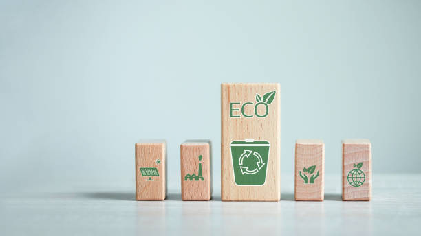 istock Pollution reduction management in the organization Reducing carbon dioxide into the atmosphere plant forest conservation l, Concepts Governance future growth of business and environment sustainable. 1424042413