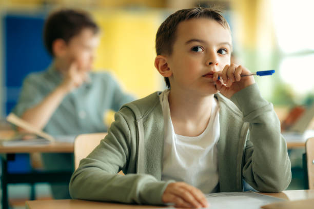 istock Portrait of elementary schoolboy learning at desk in classroom 1424043434