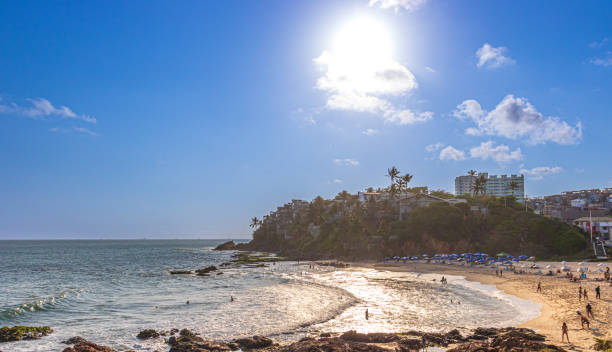 비치 브라질 2021 - barra beach summer sand beach 뉴스 사진 이미지