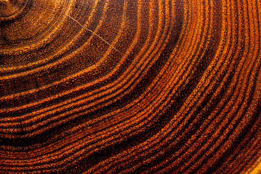 The wood is red and brown color with layers and lines like a rose petal. High angle view of a flat textured wooden board backgrounds. It has a beautiful nature and abstractive pattern. A close-up studio shooting shows details and lots of wood grain on the wood table. The piece of wood at the surface of the table also appears rich wooden material on it, shows elegant and soft textured. Flat lay style.