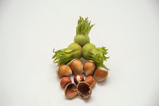 Green natural fresh hazelnut