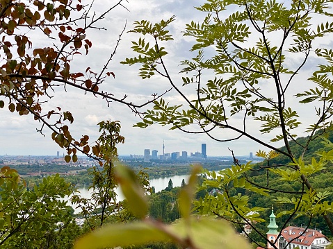 Vienna behind some Trees