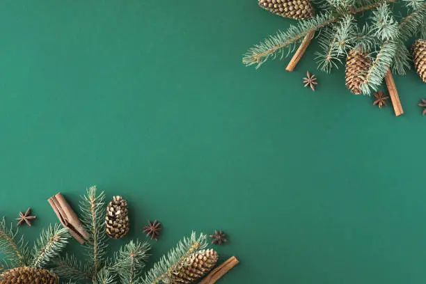Creative layout made of Christmas tree branches on green paper background. Flat lay. Top view. Nature New Year concept.