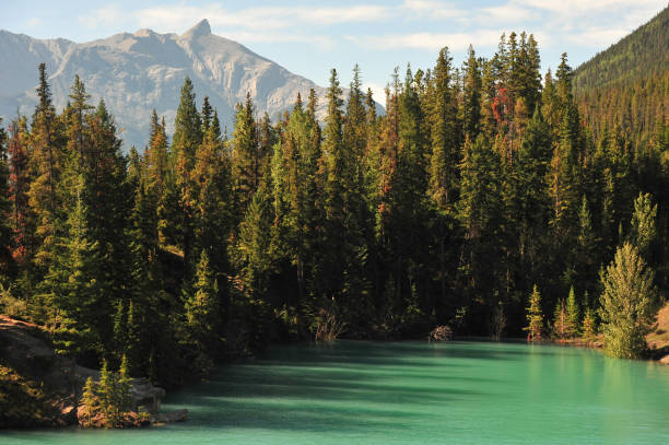 istock The shadow of a lake 1424060650