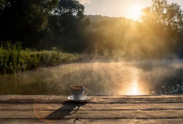 Photo of A cup of fragrant fresh coffee in nature. Soft focus photo of coffee in warm morning light.