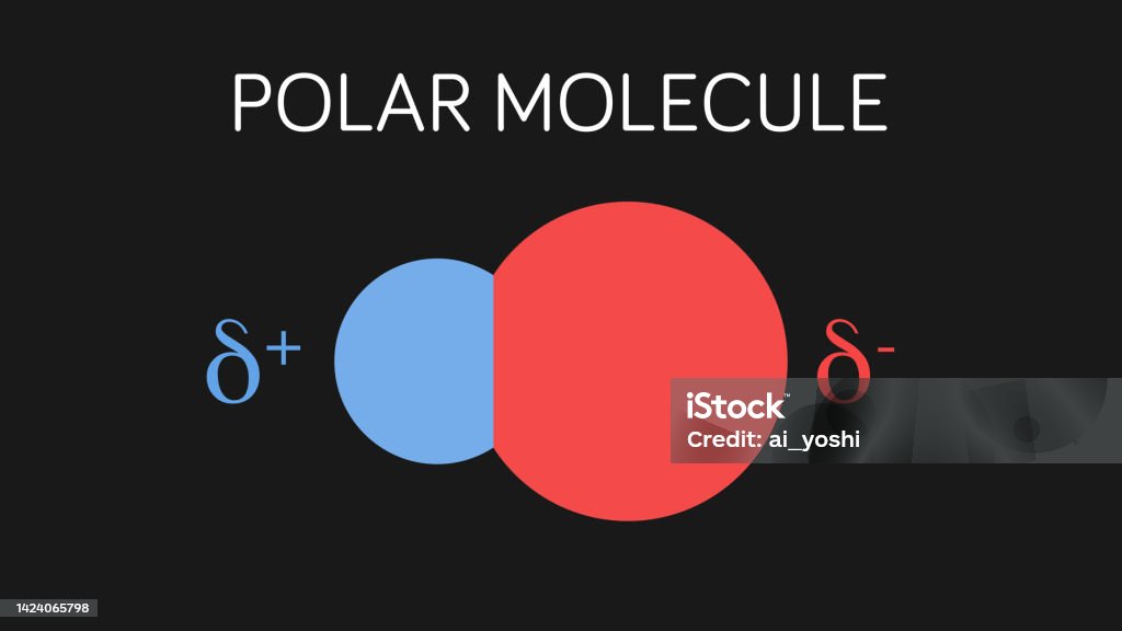 Polares Molekül Stock Vektor Art und mehr Bilder von Molekül Molekül