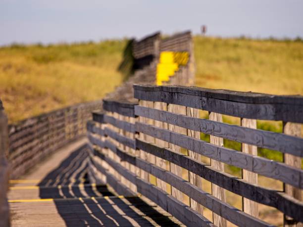 promenade über das strandgras und die dünen im plum island national wildlife refuge massachusetts - beach boardwalk grass marram grass stock-fotos und bilder