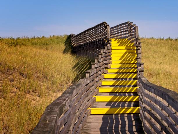 promenade über das strandgras und die dünen im plum island national wildlife refuge massachusetts - beach boardwalk grass marram grass stock-fotos und bilder