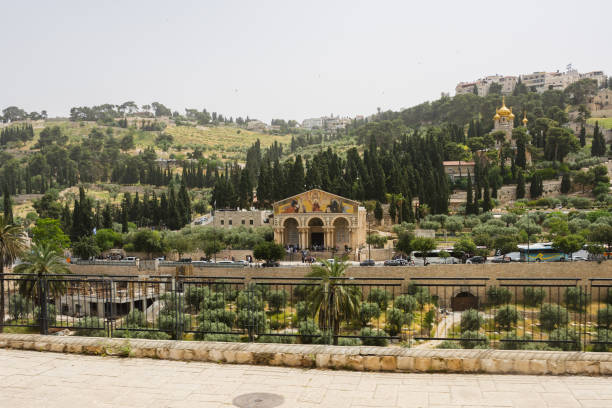 감람산 기슭에있는 모든 국가의 교회 - mount of olives 뉴스 사진 이미지