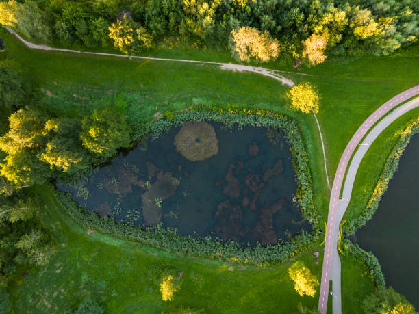istock View of the forest and fields from the drone 1424069857