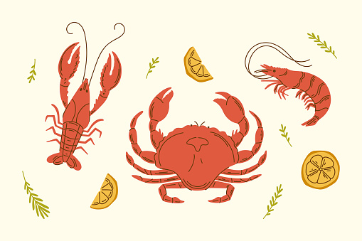 Shrimp, crawfish and crab vector set illustration with limon. Seafood vector design elements.