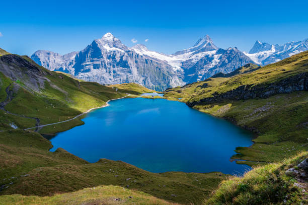 istock Bachalpsee in Bernese Oberland 1424071324