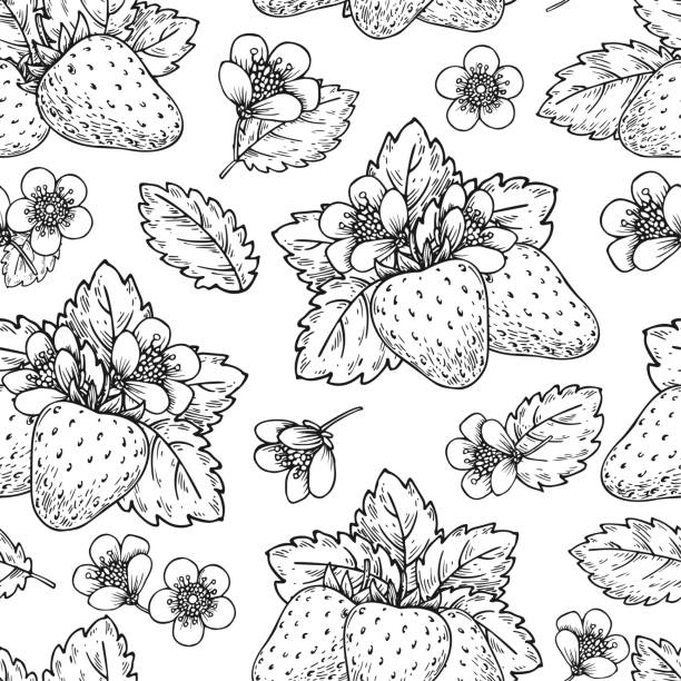 Strawberry line seamless pattern fabric cover tile Strawberry black line seamless pattern. Handdrawn sketch berries flowers leaves endless background for packaging cover surface, wallpaper fabric, coloring antistress page, greeting card, poster print cartoon of the how to draw a infinity sign stock illustrations