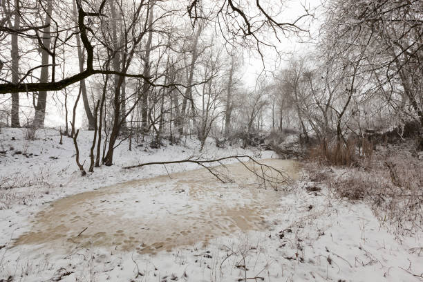 冬季の雪と氷に覆われた沼地 - unfrozen ストックフォトと画像