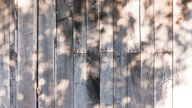 istock Tree shadow in wooden planks wall 1424081124