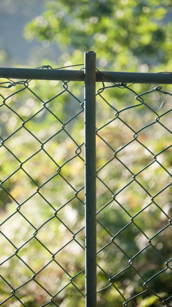 istock Wire fence in green area 1424081238
