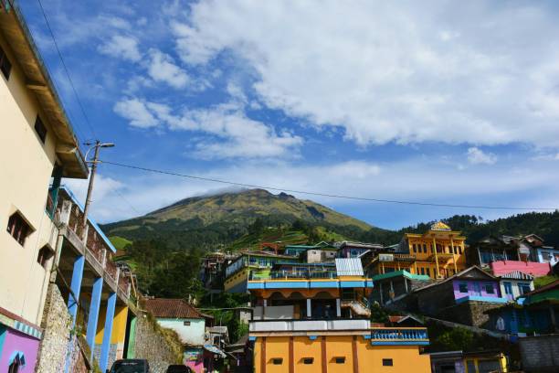 Nevan Van Java 160+ Nepal Van Java Stock Photos, Pictures & Royalty-Free Images - iStock