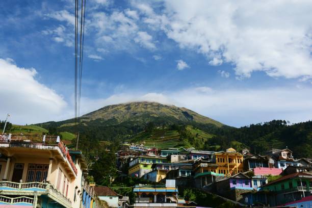Nevan Van Java 160+ Nepal Van Java Stock Photos, Pictures & Royalty-Free Images - iStock