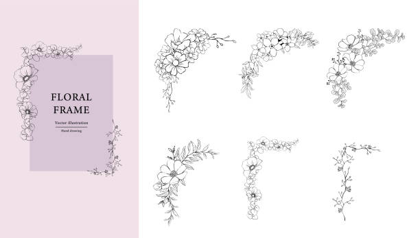 bildbanksillustrationer, clip art samt tecknat material och ikoner med botanical decorative frame design set . hand drawn floral borders and divider with branch vector illustration on white isolated background. elegant line wedding herb, elegant leaves for invitation save the date card. - blommönster