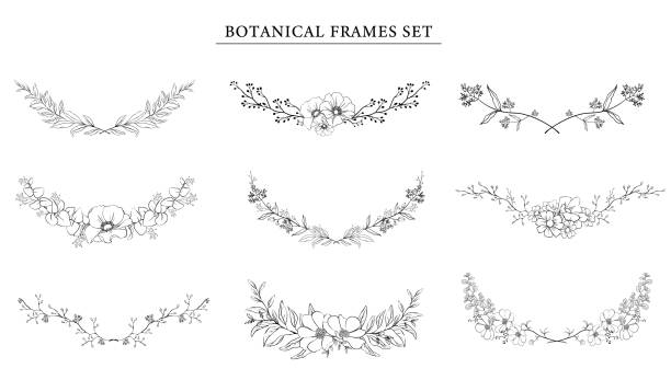 식물 프레임 세트 . 손으로 그린 꽃 테두리와 칸막이, 흰색 고립 된 배경에 분기 벡터 일러스트레이션. 우아한 라인 웨딩 허브, 초대를위한 우아한 잎은 날짜 카드를 저장합니다. - wedding invitation rose flower floral pattern stock illustrations