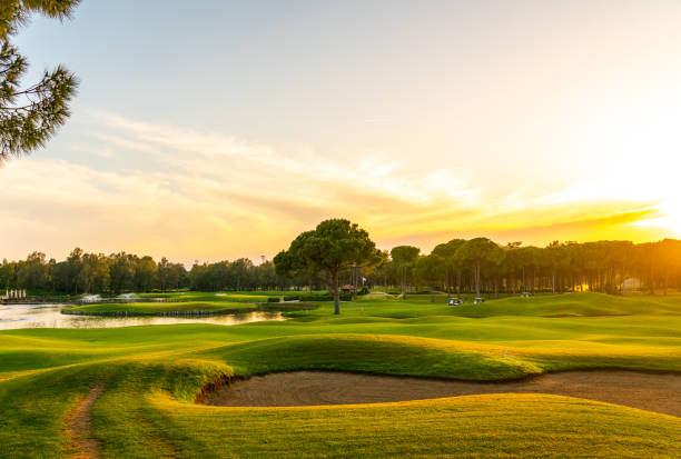 panorama najpiękniejszego zachodu lub wschodu słońca. bunkier z piasku na polu golfowym bez ludzi z rzędem drzew w tle - golf zdjęcia i obrazy z banku zdjęć