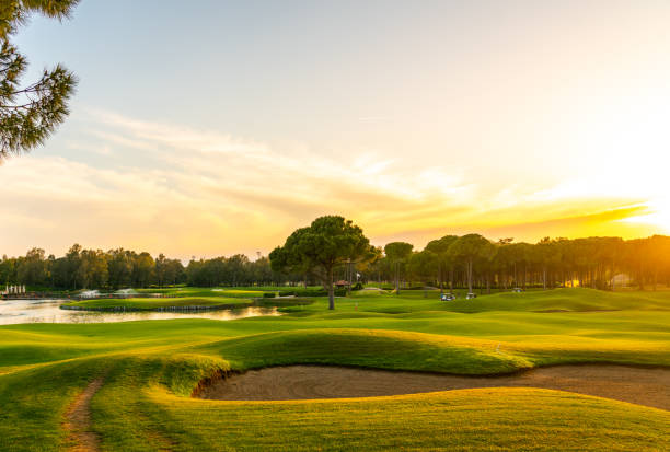 panorama of the most beautiful sunset or sunrise. sand bunker on a golf course without people with a row of trees in the background - golf course 個照片及圖片檔