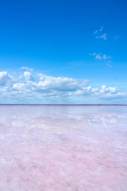 istock Bursol pink lake. Clouds are reflected in light pink water. Background for screen saver, wallpaper, postcard. 1424146639
