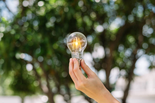 istock Hand holding light bulb with green background. idea solar energy in nature 1424150423