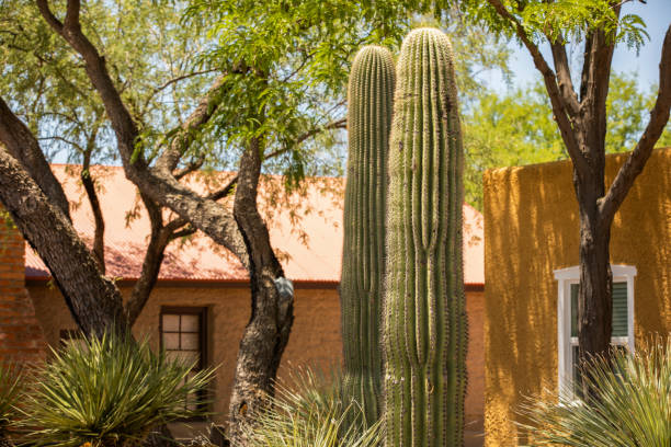 istock Tubac, Arizona 1424150495
