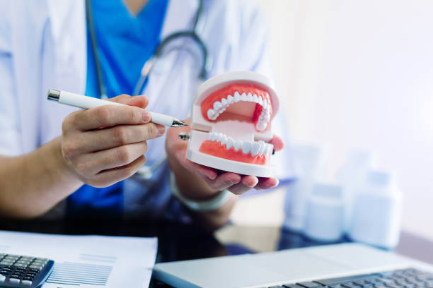 istock Concentrated dentist sitting at table with jaw samples tooth model and working with tablet and laptop in dental office 1424150498
