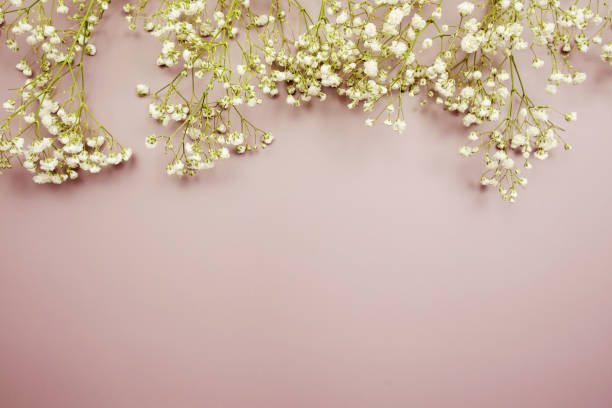 istock Space for copy background and flower decoration 1424159589