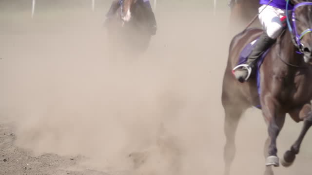 Racehorses at the Curve of the Racetrack. Slow Motion