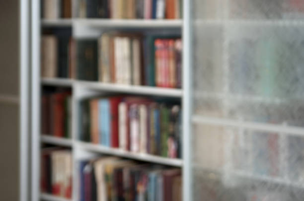 istock Defocused image of bookshelf. Blurred background for design 1424163017
