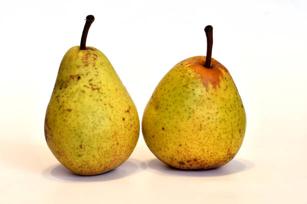 istock Two ripe yellow pears on white. 1424168685