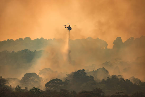 helikopter gaśniczy zrzucający wodę na pożar - rainforest forest river australia zdjęcia i obrazy z banku zdjęć