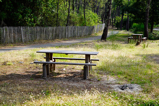 single wood bench pic-nic wooden table empty in forest park