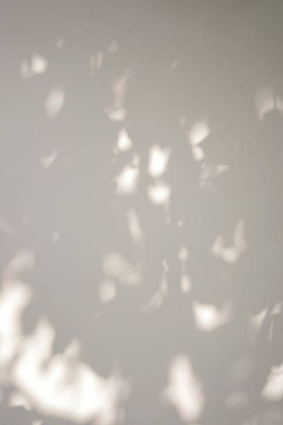 istock Shadow of foliage on white background. Overlay. 1424176542