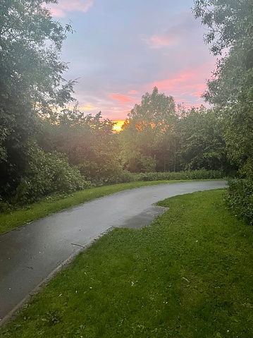 Pink and orange sunset in blue sky surrounded by green trees overlooked from path on hill