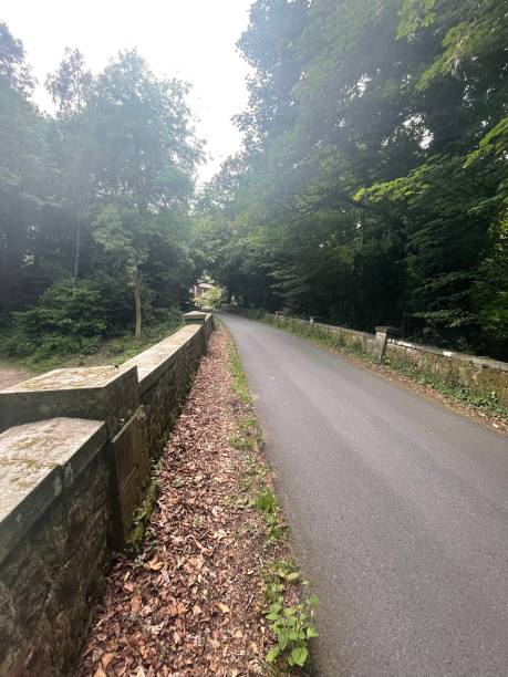 istock Road to woods 1424177860