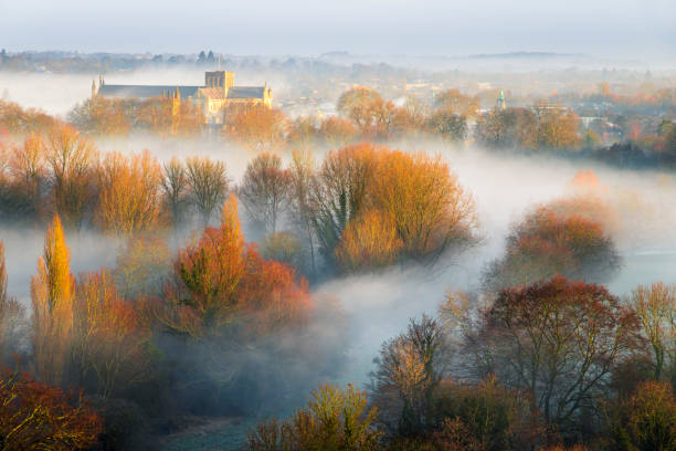 catedral de winchester en la niebla - south downs fotografías e imágenes de stock