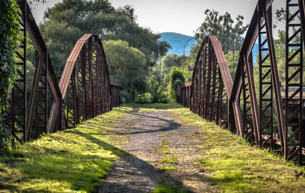 istock Old rural bridge over the river 1424181440