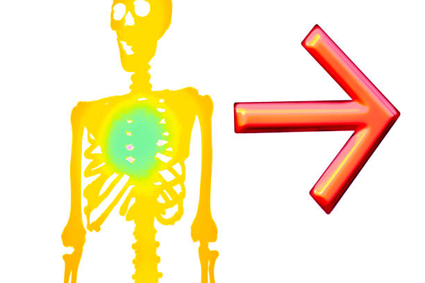 Human skeleton on dark background