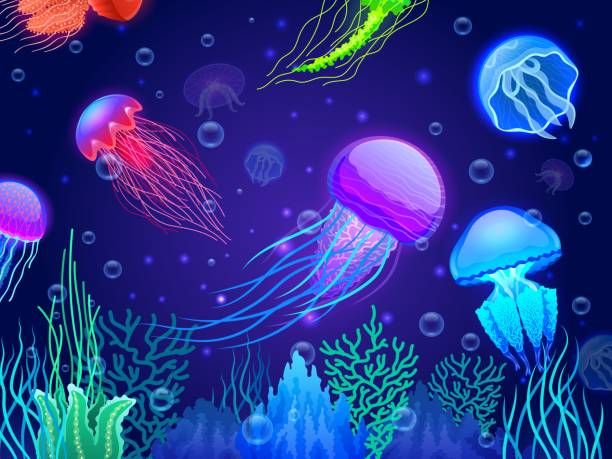 해파리 배경. 만화 다채로운 투명하게 빛나는 수중 생물이 함께 떠 다니고 있습니다. 벡터 다채로운 독 바다 해파리 동물 벽지 - aquarium biology jellyfish nature stock illustrations