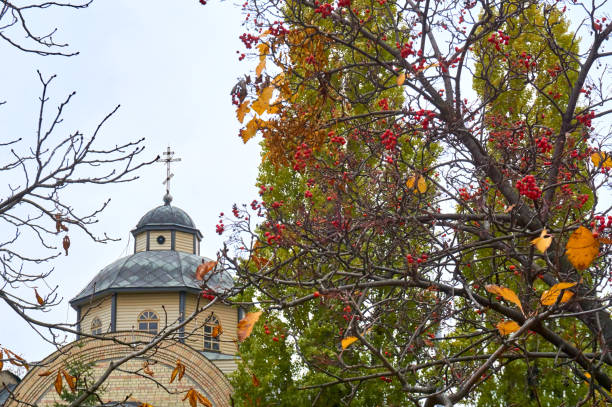 istock Autumn landscape. Church and red rowan. 1424183326